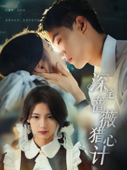 深宅蔷薇猎心计（66集）万林洲&王昕瑶 高清完整版