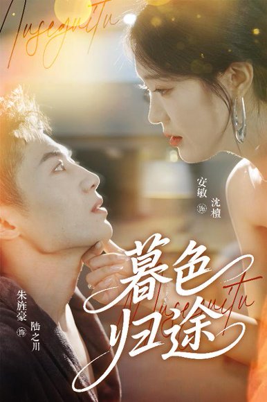 暮色归途（50集）安敏&朱旌豪 高清完整版