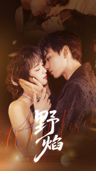 野焰 未删减版（60集）陈政阳＆郑千亦 高清完整版