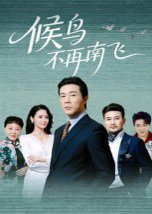 候鸟不再南飞（80集）苗峯&王真真 高清完整版