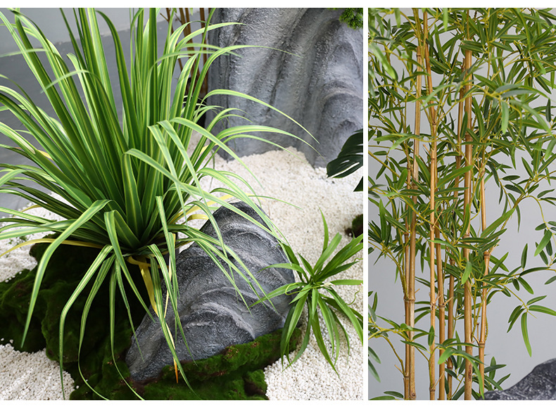 什么竹子最适合盆栽,什么竹子最好养活