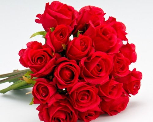 5朵红玫瑰的花语[5朵红玫瑰的花语和寓意是什么]